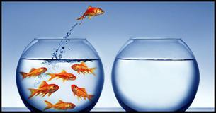 Are You Naturally An Introvert, Extrovert, Or Ambivert?