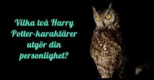 Vilka två Harry Potter-karaktärer utgör din personlighet?