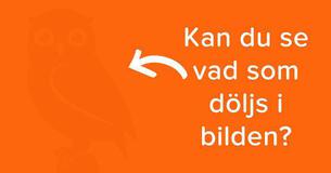 Endast introverta kan se dessa dolda bilder då de har unika observationsförmågor