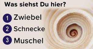 Kannst Du erkennen was dieses Objekt ist, basierend auf dem Aussehen unter dem Mikroskop?