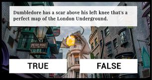 This True Or False Test Is The Ultimate Harry Potter Trivia Challenge 