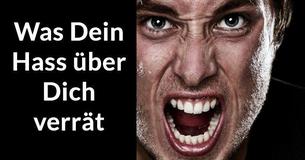 Können wir Deine Persönlichkeit beschreiben basierend auf den Dingen, die Du hasst?