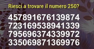 Riesci a trovare il numero 250?