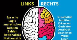 Welche Seite Ihres Gehirns ist dominanter?