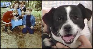 Family Buries Dead Dog In Grave But A Day Later He’s Standing At The Front Door