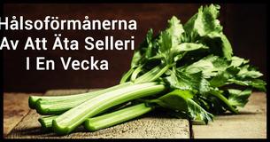 Förvandla Din Kropp Genom Att Äta Selleri I En Vecka