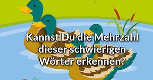 Kannst Du die Mehrzahl dieser schwierigen Wörter erkennen?