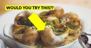 Would You Try These Local Delicacies From Around The World?