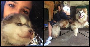 Woman Receives A Super Cute Puppy 1 Year Later She Realizes What She Had Done