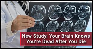 Terrifying Study Reveals Our Brains Are Self-Aware After We Die