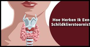 Alles Wat U Dient Te Weten Over Het Herkennen, Vaststellen En Behandelen Van Schildklierstoornissen