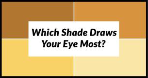 Answer These 8 Shade Color Questions And We Will Be Able To Guess Your Eye Color 