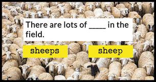 This Plurals Test Is Driving The Internet Crazy.