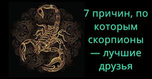 7 причин, по которым скорпионы — лучшие друзья