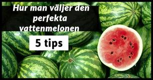  5 tips som hjälper dig att välja den perfekta vattenmelonen varje gång 
