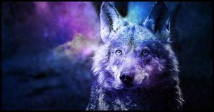 What Is Your Spirit Animal?