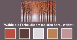 Was warst Du in Deinem vergangenen Leben laut den Farben, die Du wählst?