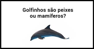 Apenas 2% dos adultos lembram destas perguntas básicas da infância. Você se lembra?