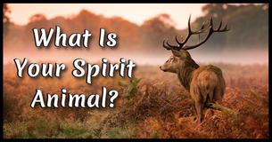 What Is Your Spirit Animal?