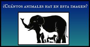 Nadie puede estar de acuerdo sobre cuántos animales hay en esta imagen. ¿Cuántos puedes encontrar?