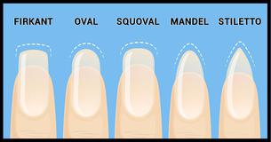  Hvad viser din manicure om din personlighed? 