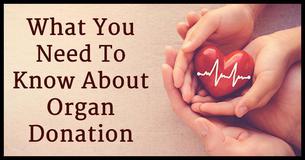 Understanding Organ Donation - Should I Or Shouldn’t I Give Away My Organs?