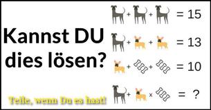 Wie viel ist das Hündchen im Fenster wert #1