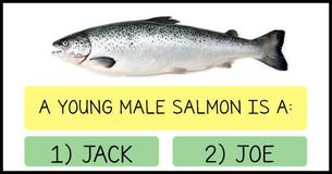 Only Americans With A PhD Passed This Animal Vocabulary Test. Can You?