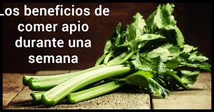 Transforma tu cuerpo comiendo apio durante una semana