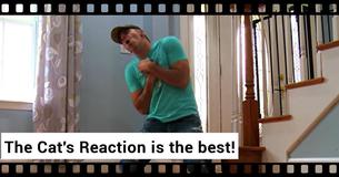 Man Fakes His Own Death To See How His Beloved Cat Would React. Best Reaction Ever
