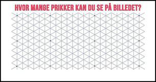 Hvor mange prikker kan du se på billedet?