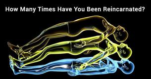 How Many Times Have You Been Reincarnated?