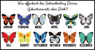 Erfahre, was der Schmetterling Deines Geburtsmonats über Dich aussagt 