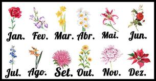 Isto é o que a flor do seu signo revela sobre quem você é de verdade