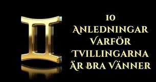 10 Anledningar Varför Tvillingarna Är Bra Vänner