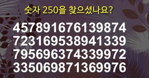 숫자 250을 찾으셨나요?