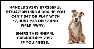 Only People With Exceptional IQ Can Pass This Animal Vocabulary Test