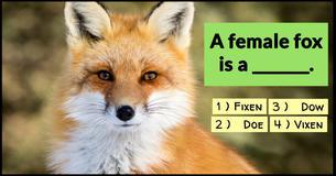 Can You Pass A 3rd Grade Animal Vocabulary Test?