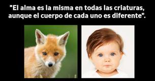 ¿Amas más a los animales o a las personas?