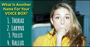 Your IQ Is Higher Than 149 If You Can Answer These 11 Human Anatomy Questions