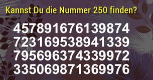 Kannst Du die Nummer 250 finden?