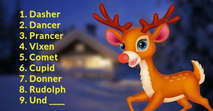 Bestehst du den offiziellen Weihnachtstest?