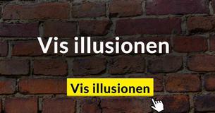 Denne optiske illusion af en stenmur driver internettet til vanvid