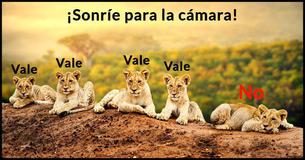 ¿A qué tipo de grupo animal se parece más tu familia?