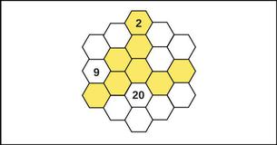 Can You Complete The Hexagon Number Puzzle?
