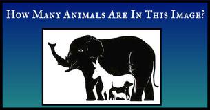 No One Can Agree On How Many Animals Are In This Picture. How Many Can You Find?