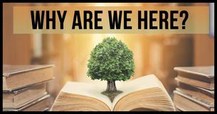What Philosophical School Of Thought Are You In?