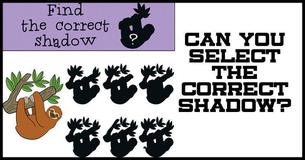 Tough Shadow Brainteaser #9: Can You Find The Correct Shadow?