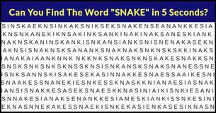 Only 1% Can Find The Correct Word. Can You??