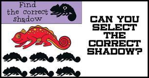 Tough Shadow Brainteaser #5: Can You Find The Correct Shadow?